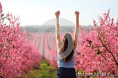 Happy woman raising arms in a pink flowered field Stock Photo