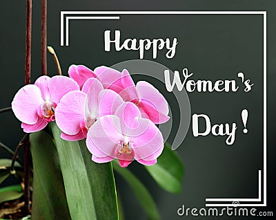 Happy womens day greeting card with pink soft color orchid over dark grey background and white brush hand written font script Stock Photo