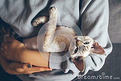 Happy young female with her cat. Home pets. Stock Photo