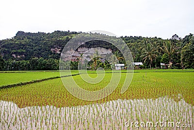 Harau Valley in West Sumatra, Indonesia Stock Photo