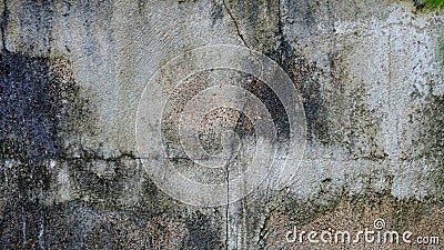 Damaged dirty cement ground floor with cracked on skin pattern Stock Photo