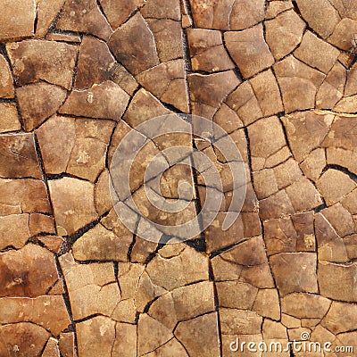 Hard fruit shellcalabash texture used as decorative tiles Stock Photo