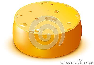 Hard Swiss Cheese isolated on white. Yellow big round cheese head Vector Illustration