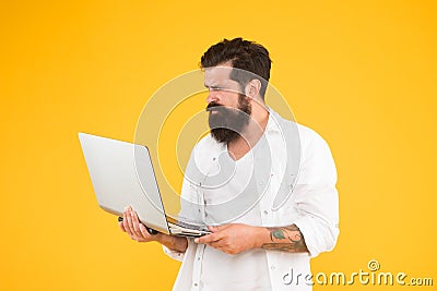 Hard working. Programmer with computer. brutal man surfing internet. hipster use notebook. Bearded man laptop yellow Stock Photo