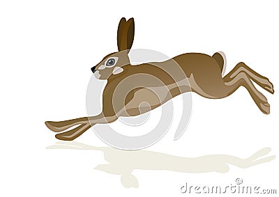 Hare Cartoon Illustration