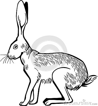 Hare Crouching Vector Illustration