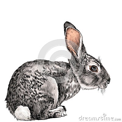 The hare in full growth sits sideways sketch vector Vector Illustration