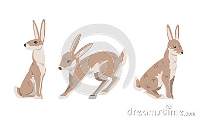 Hare or Jackrabbit as Animal with Long Ears and Grayish Brown Coat in Sitting and Jumping Pose Vector Set Vector Illustration