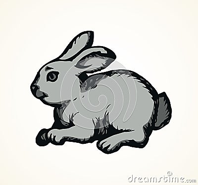 Hare. Vector drawing Vector Illustration