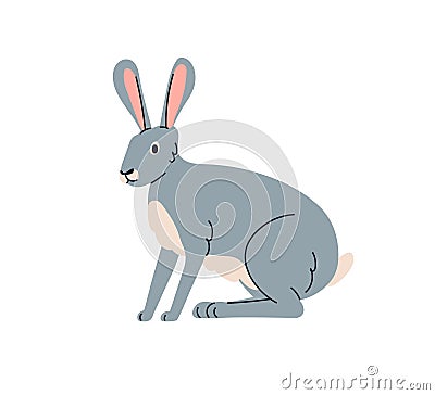 Hare, wild forest animal, herbivore. Lepus Europaeus, woods herbivorous mammal with long ears, fauna. Gray woodland Vector Illustration