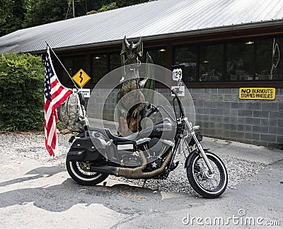 Harley Davidson bike in front of Tail of the Dragon statue Editorial Stock Photo