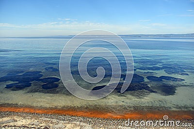 A harmful algal bloom event, Red tide Stock Photo