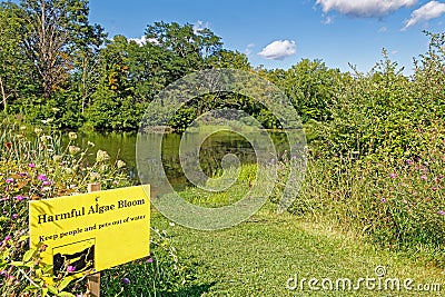 yellow Harmful algal bloom danger sign at small pond in Summer Stock Photo