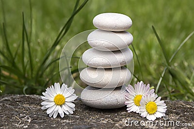 Harmony and balance, simple pebbles tower and daisy flowers in bloom in the grass, simplicity Stock Photo