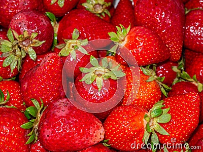 Harmony of Strawberries Stock Photo