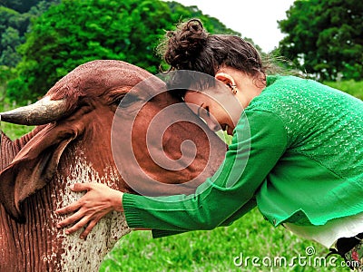 Harmony Unveiled: A bond beyond Species. Friendship between cows and humans. Stock Photo