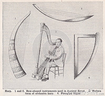 Vintage illustration of the Harp 1900s. Cartoon Illustration