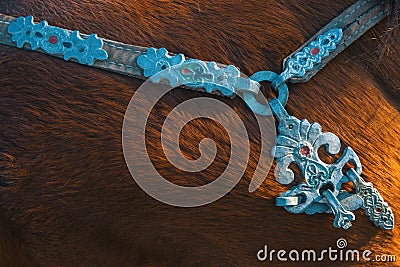 Harness of Mongolian horses. Asia. Stock Photo