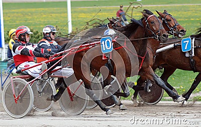 Harness race horses Editorial Stock Photo
