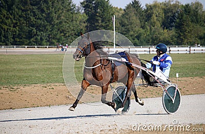 Harness racing at the hippodrome Editorial Stock Photo