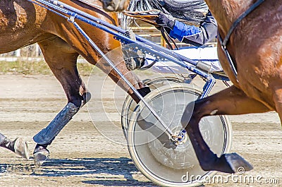 Harness racing. Stock Photo