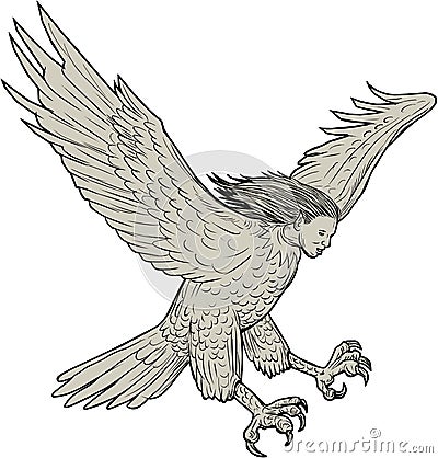 Harpy Swooping Drawing Vector Illustration