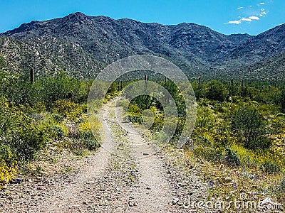 Harquahala Trail Arizona Stock Photo