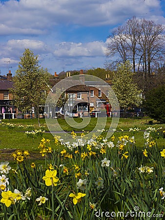 Hartley Wintney, Hampshire Editorial Stock Photo