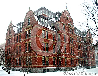 Harvard in winter Stock Photo