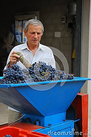 Harvest Stock Photo