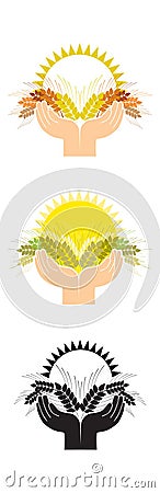 Harvest Vector Illustration