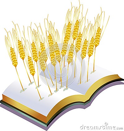 Harvest Vector Illustration