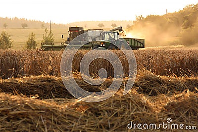 Harvest Stock Photo