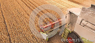 Fields of Gold: Capturing the Wheat Harvest in Progress Stock Photo