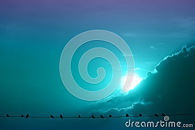 Harvest blue moon and silhouette birds hang on powe electric line Stock Photo