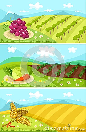 Harvest card Vector Illustration
