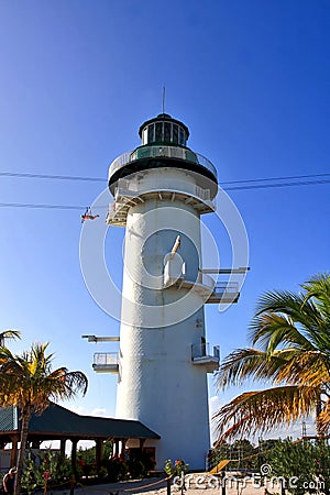 Harvest Caye Belize Lighthouse Ziplining Editorial Stock Photo