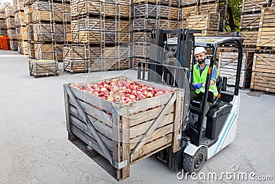 Harvest control, loading, lifting and delivery at warehouse, food business Stock Photo