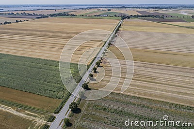 Harvest Cornfield in Germnay Stock Photo