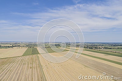 Harvest Cornfield in Germnay Stock Photo
