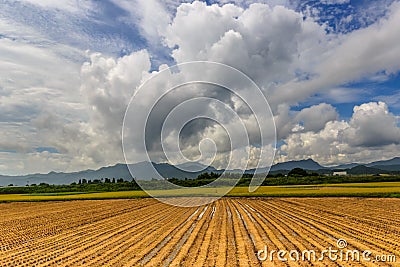 Harvest drama Stock Photo