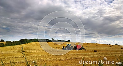 Harvest Stock Photo