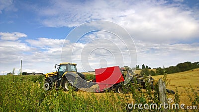 Harvest Editorial Stock Photo