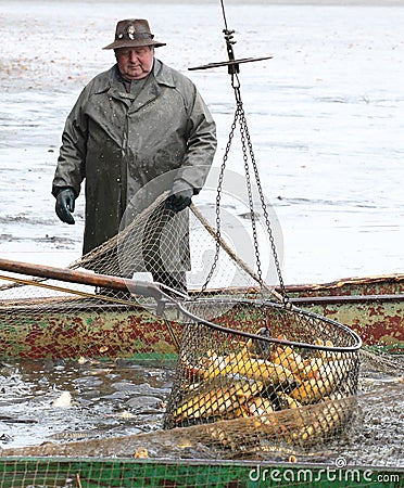 Harvest of fishpond. Editorial Stock Photo