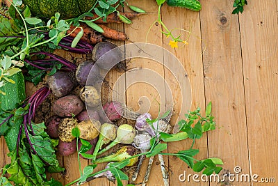 Harvest of fresh vegetables on wooden background. Top view. Potatoes, carrot, squash, peas, tomatoes Stock Photo