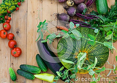 Harvest of fresh vegetables on wooden background. Top view. Potatoes, carrot, squash, peas, tomatoes Stock Photo