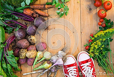 Harvest of fresh vegetables on wooden background. Top view. Potatoes, carrot, squash, peas, tomatoes Stock Photo