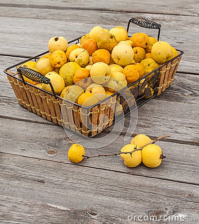 Harvest Japanese quince on a wooden table Stock Photo