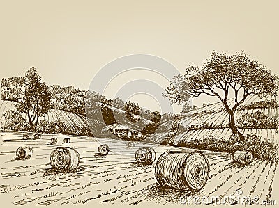 Harvest landscape Vector Illustration