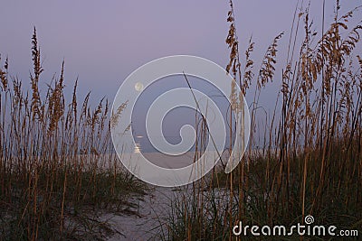 The Harvest Moon Stock Photo